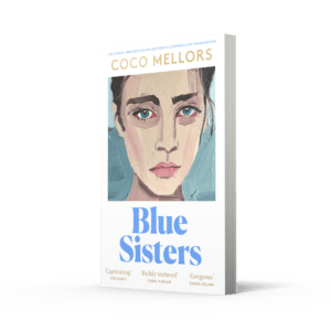 Blue Sisters, the new novel